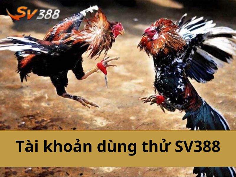 Tài khoản dùng thử SV388 là một hình thức trải nghiệm miễn phí Tài khoản dùng thử SV388 là một hình thức trải nghiệm miễn phí